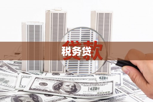 博望税务贷