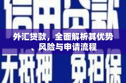 博望外汇贷款，全面解析其优势、风险与申请流程