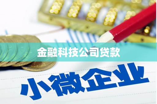 博望金融科技公司贷款