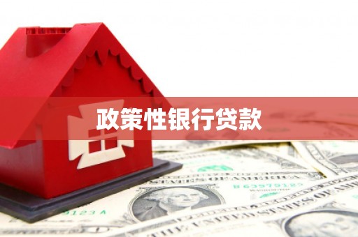 博望政策性银行贷款