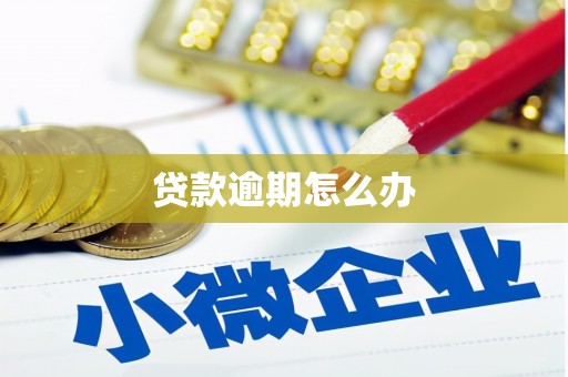 博望贷款逾期怎么办