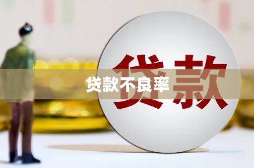 博望贷款不良率