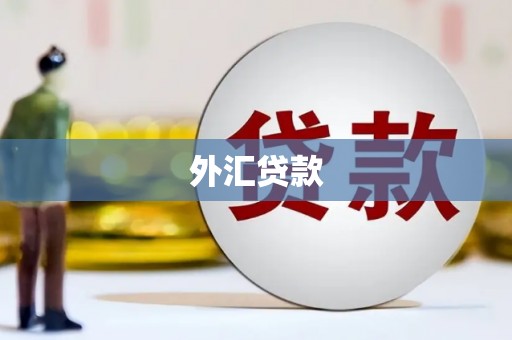 博望外汇贷款