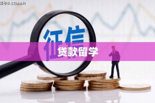 博望贷款留学