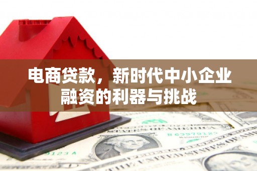 博望电商贷款，新时代中小企业融资的利器与挑战