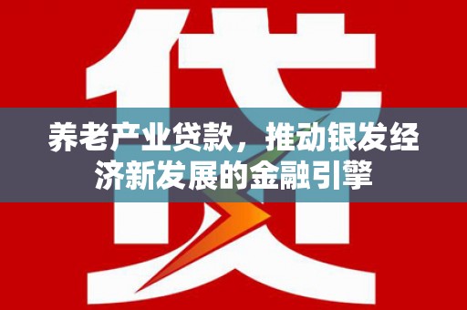 博望养老产业贷款，推动银发经济新发展的金融引擎