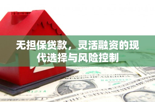 博望无担保贷款，灵活融资的现代选择与风险控制