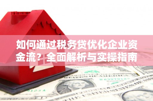 博望如何通过税务贷优化企业资金流？全面解析与实操指南