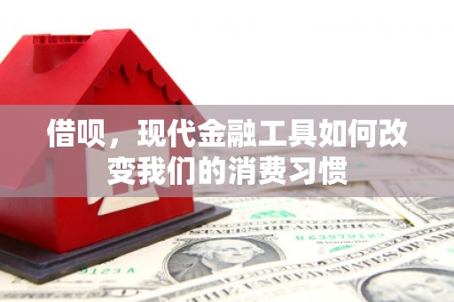 博望借呗，现代金融工具如何改变我们的消费习惯
