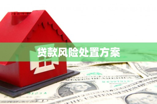 博望贷款风险处置方案