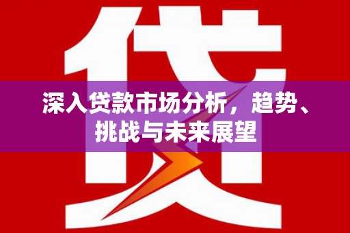 博望深入贷款市场分析，趋势、挑战与未来展望