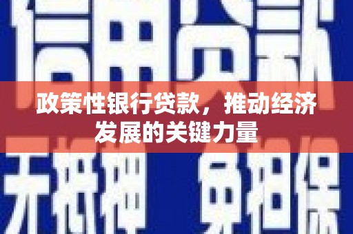 博望政策性银行贷款，推动经济发展的关键力量
