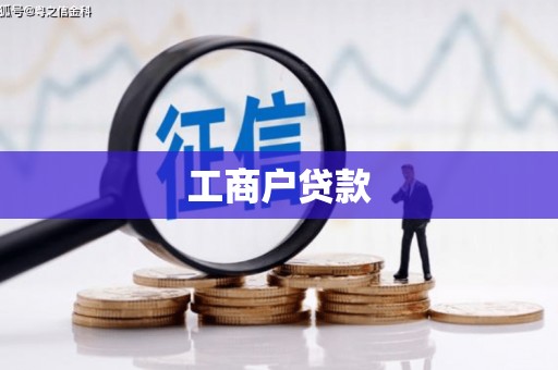 博望工商户贷款