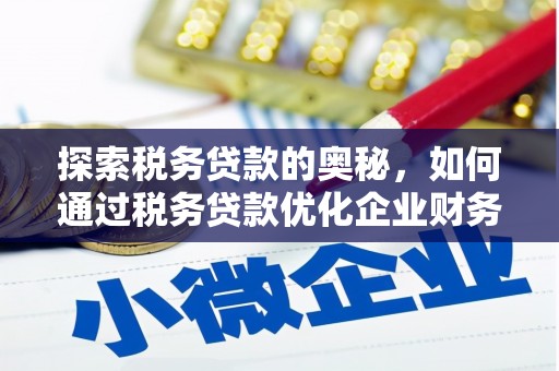博望探索税务贷款的奥秘，如何通过税务贷款优化企业财务