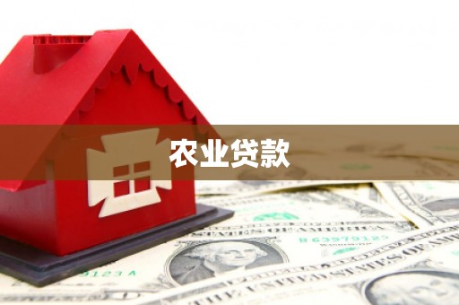 博望农业贷款