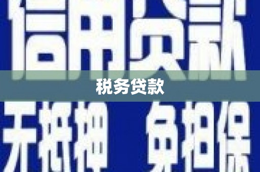 博望税务贷款