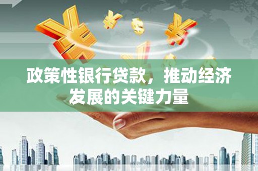 博望政策性银行贷款，推动经济发展的关键力量