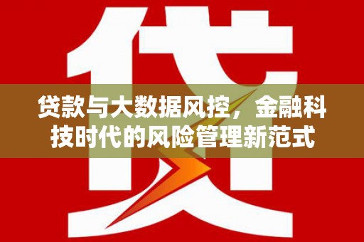 博望贷款与大数据风控，金融科技时代的风险管理新范式