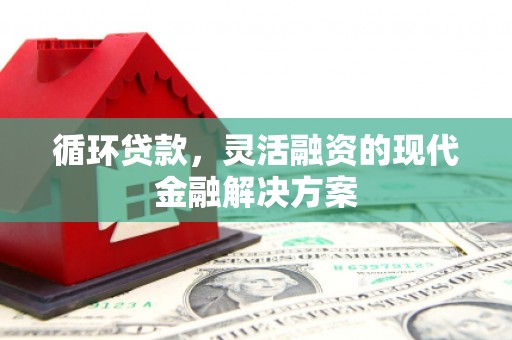 博望循环贷款，灵活融资的现代金融解决方案