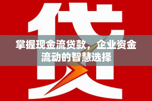 博望掌握现金流贷款，企业资金流动的智慧选择