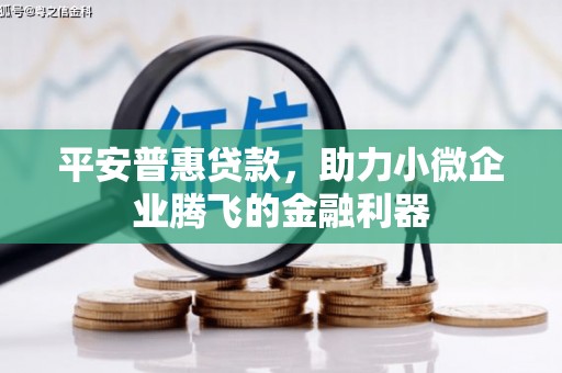 博望平安普惠贷款，助力小微企业腾飞的金融利器