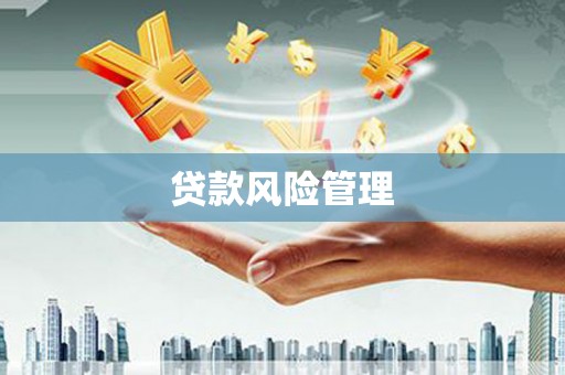 博望贷款风险管理