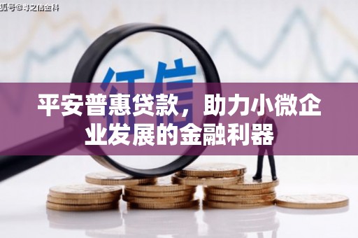 博望平安普惠贷款，助力小微企业发展的金融利器