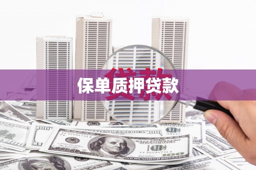 博望保单质押贷款