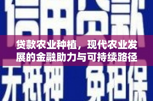 博望贷款农业种植，现代农业发展的金融助力与可持续路径