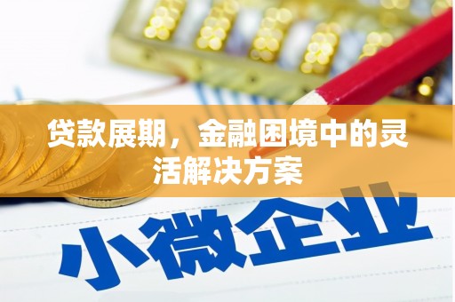博望贷款展期，金融困境中的灵活解决方案