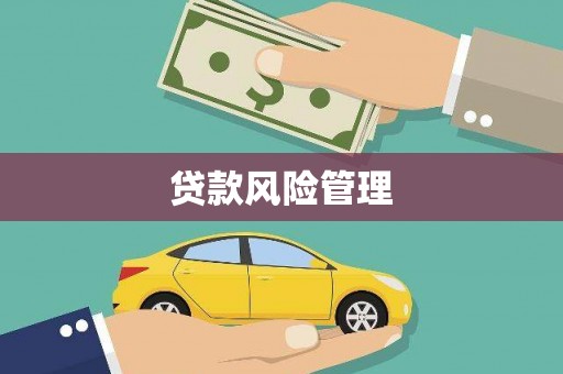 博望贷款风险管理