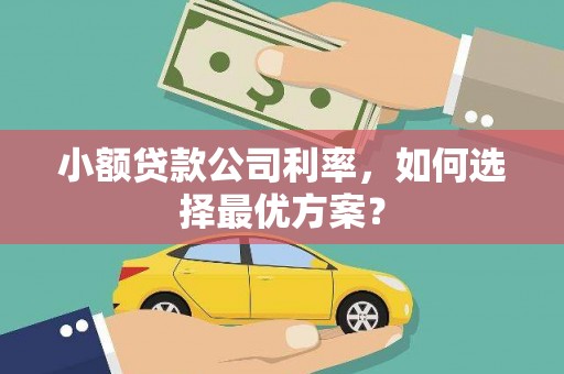博望小额贷款公司利率，如何选择最优方案？