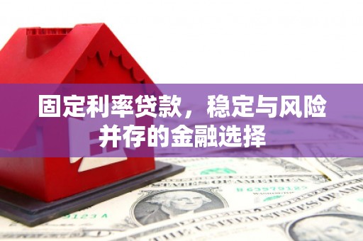 博望固定利率贷款，稳定与风险并存的金融选择