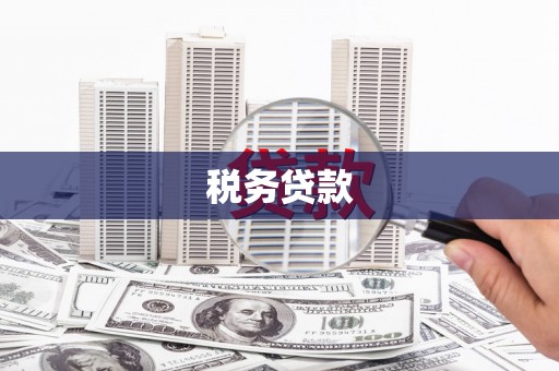 博望税务贷款