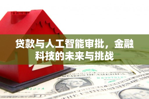 博望贷款与人工智能审批，金融科技的未来与挑战