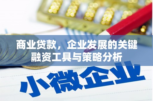 博望商业贷款，企业发展的关键融资工具与策略分析