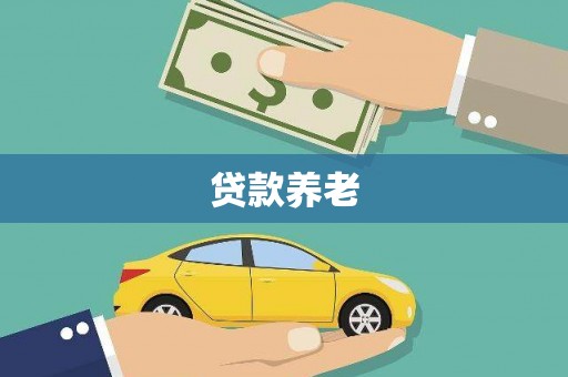 博望贷款养老