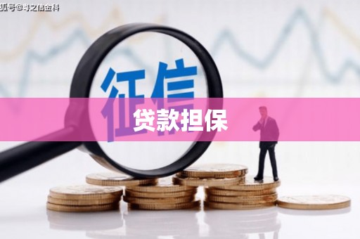 博望贷款担保