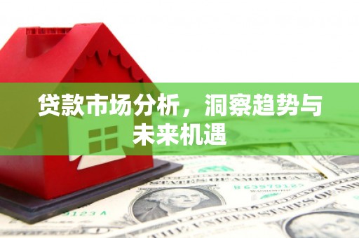 博望贷款市场分析，洞察趋势与未来机遇