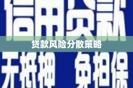 博望贷款风险分散策略