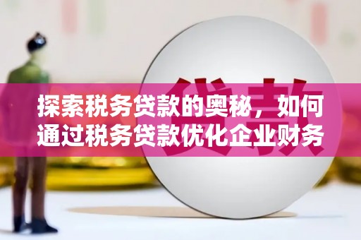 博望探索税务贷款的奥秘，如何通过税务贷款优化企业财务