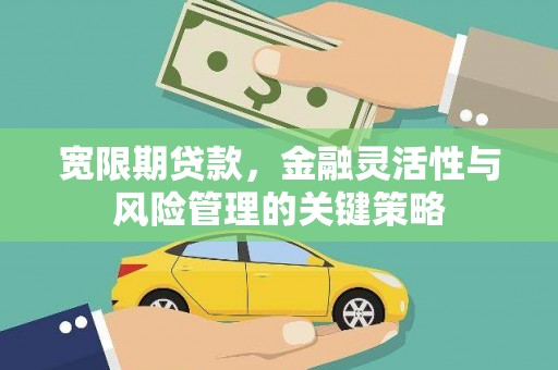 博望宽限期贷款，金融灵活性与风险管理的关键策略