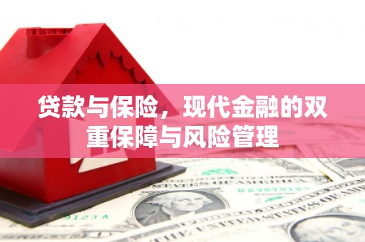 博望贷款与保险，现代金融的双重保障与风险管理