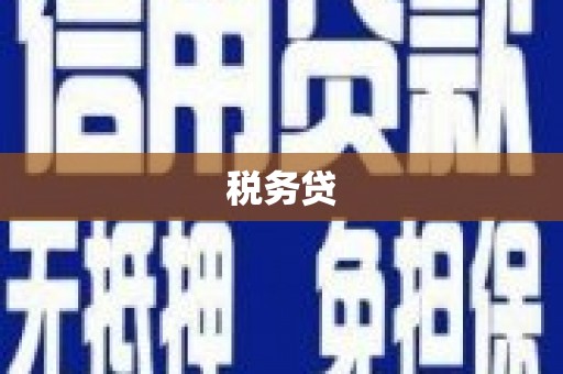 博望税务贷