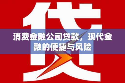 博望消费金融公司贷款，现代金融的便捷与风险