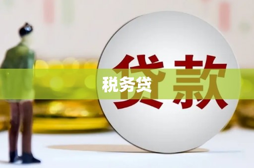 博望税务贷
