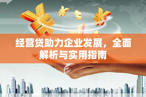 博望经营贷助力企业发展，全面解析与实用指南