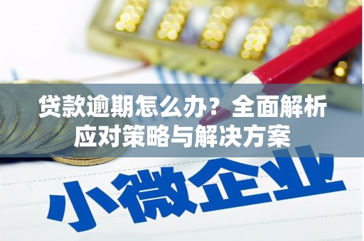 博望贷款逾期怎么办？全面解析应对策略与解决方案