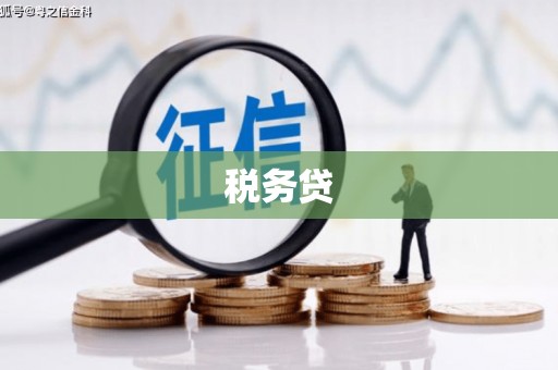 博望税务贷