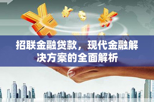 博望招联金融贷款，现代金融解决方案的全面解析